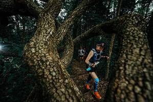 BIB: 
                            <button type="button" onclick="openModal(25699134)" class="btn btn-primary btn-sm float-right btn-popup" data-toggle="modal" data-target=".modal-high-quality">
                        <i class="fas fa-shopping-cart"></i> Add to Cart
                    </button>
                                            <button type="button" onclick="isThisMe(25699134, true)" class="btn btn-success btn-sm float-right btn-popup btn-isme hidden" data-toggle="tooltip" data-placement="bottom" title="นี่คือรูปของคุณใช่ไหม คลิกที่นี่เพื่อเอาเข้าอัลบั้ม">
                        <i class="fas fa-plus"></i> Add to album
                    </button>
                    <button type="button" onclick="isThisMe(25699134, false)" class="btn btn-warning btn-sm float-right btn-popup btn-isnotme hidden">
                        <i class="fas fa-ban"></i> Remove from album
                    </button>